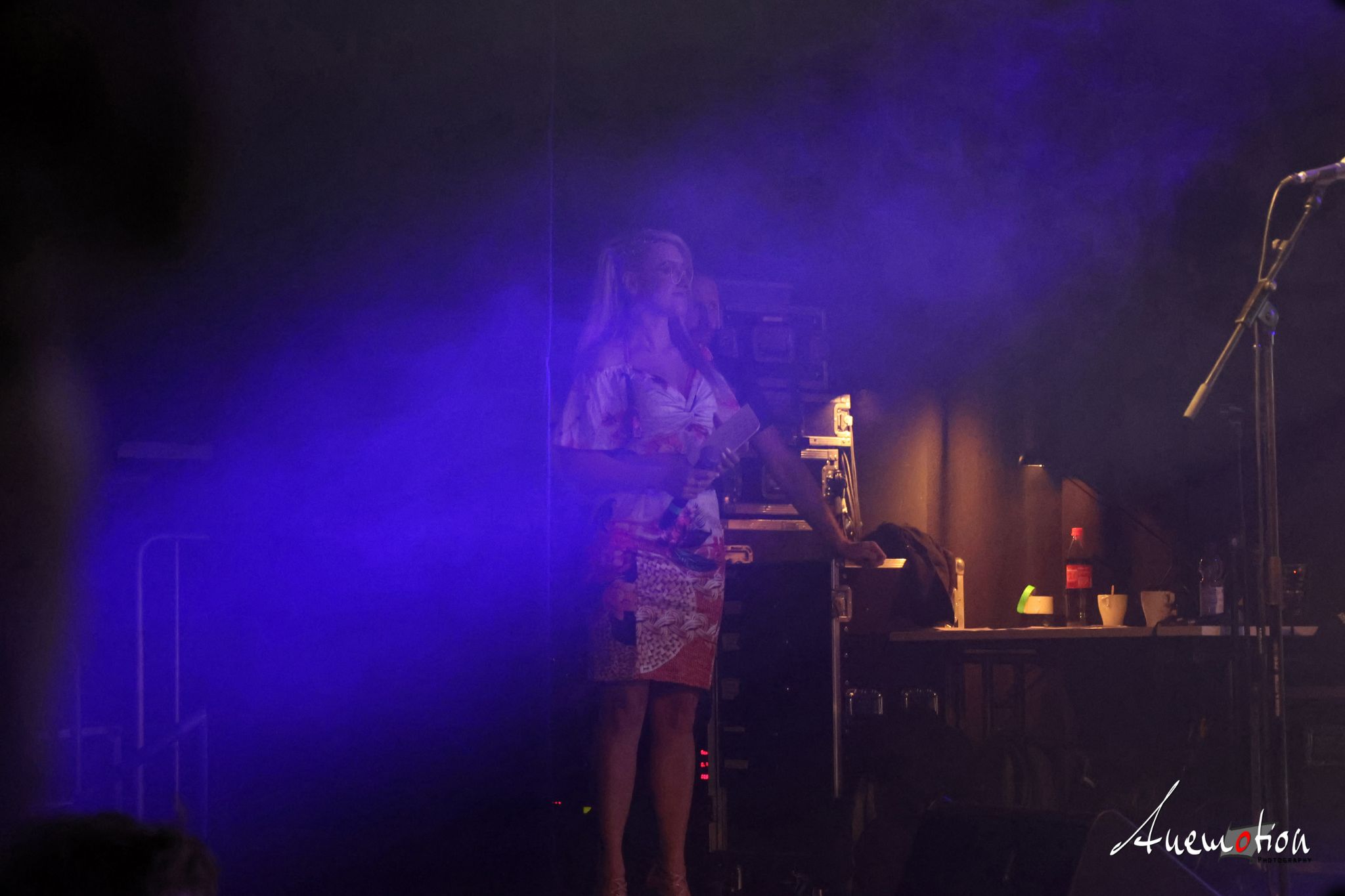 ElephantsFalling (8)